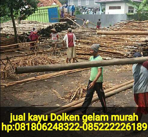Jual Kayu Dolken Gelam Jakarta Timur